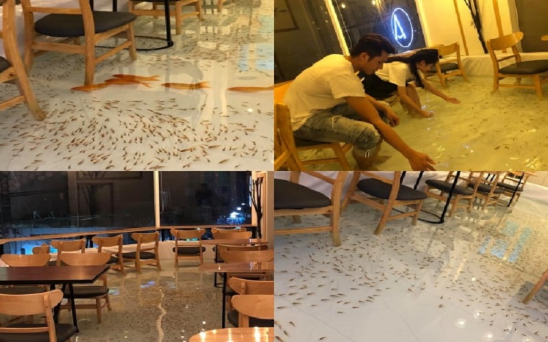 Quán cà phê độc đáo tại sài gòn